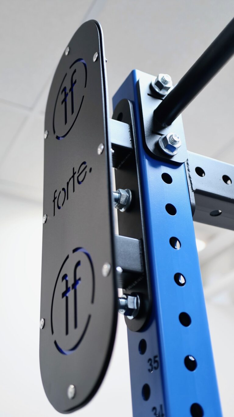 double wall ball target in blue mounted on a rack