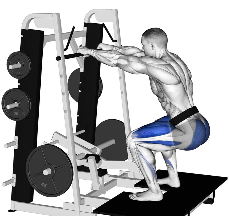 Effectiveness of Belt Squats