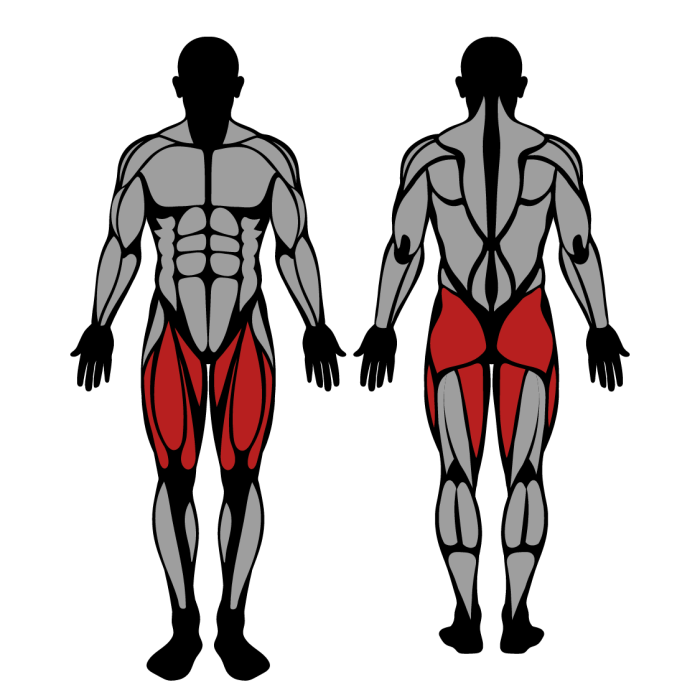Muscles hack squat