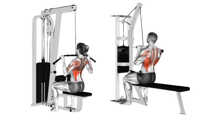 Should you use a wide or neutral grip for lat pulldowns